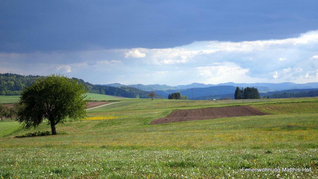 Matthis-hof Apartment Waldshut-Tiengen